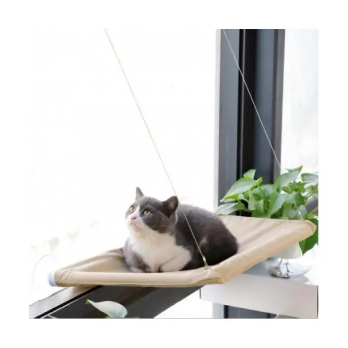 Фото 5
