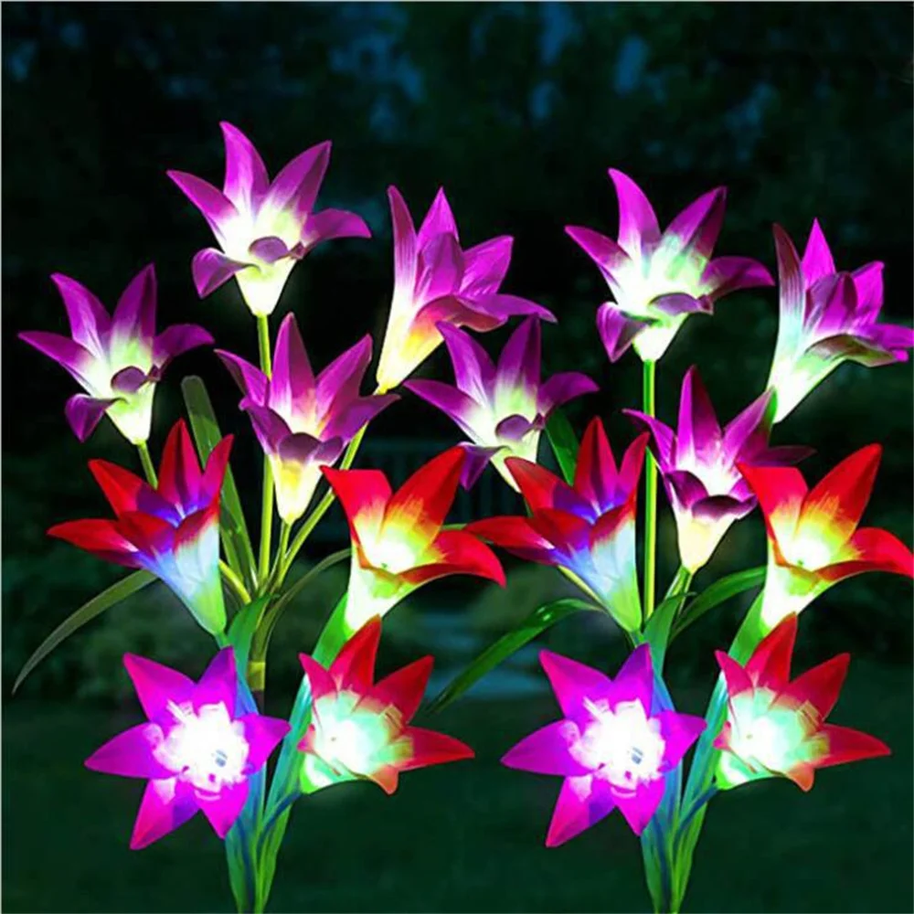 Фото 2