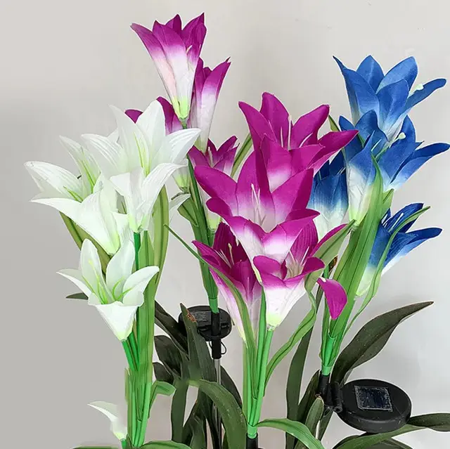 Фото 3