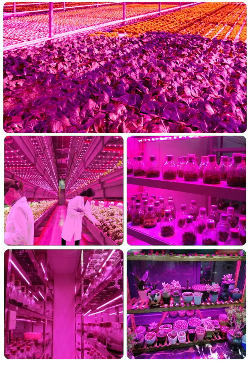 Фото 4
