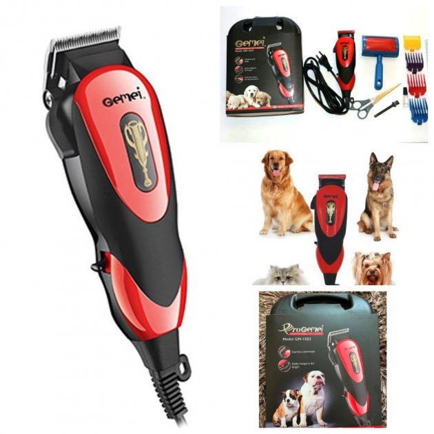 Фото 4
