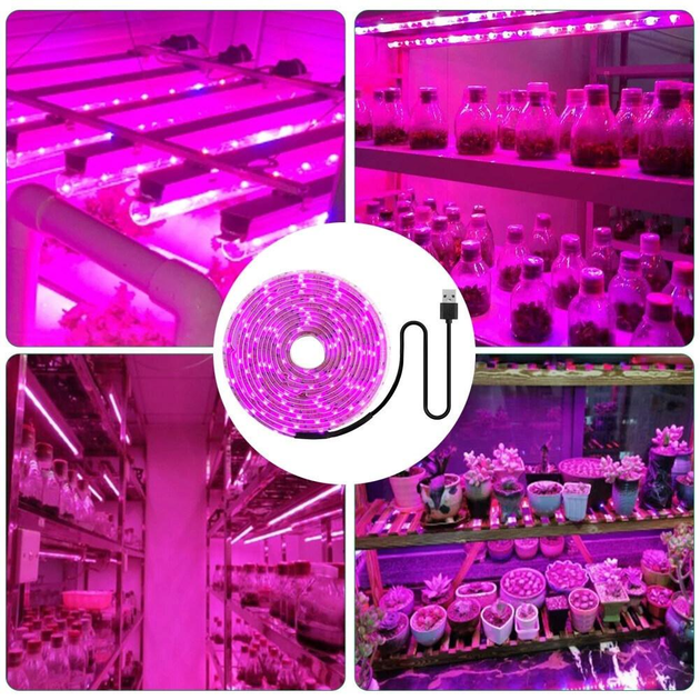 Фото 6