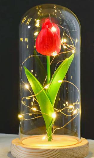 Фото 2