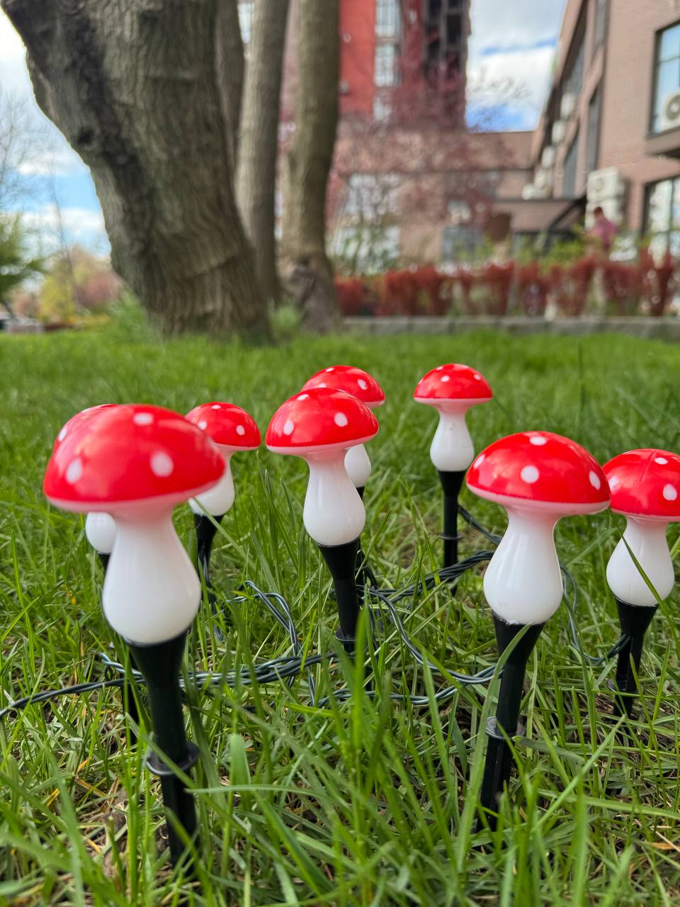Фото 9