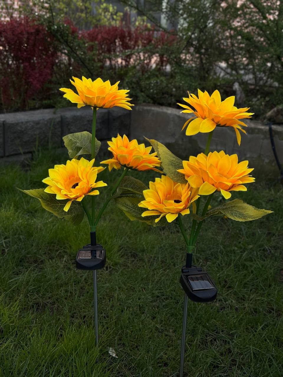 Фото 2