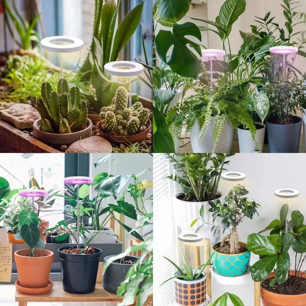 Фото 3