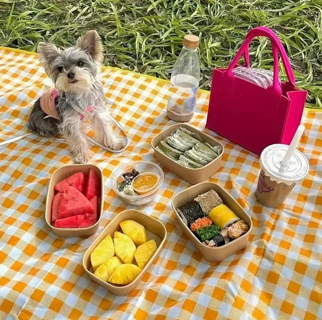 Фото 6