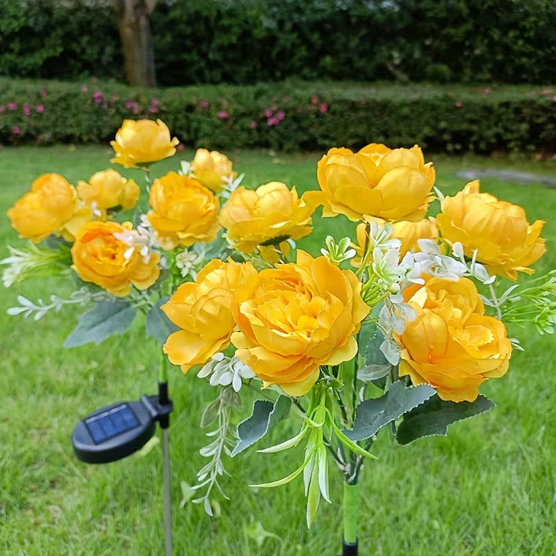 Фото 4