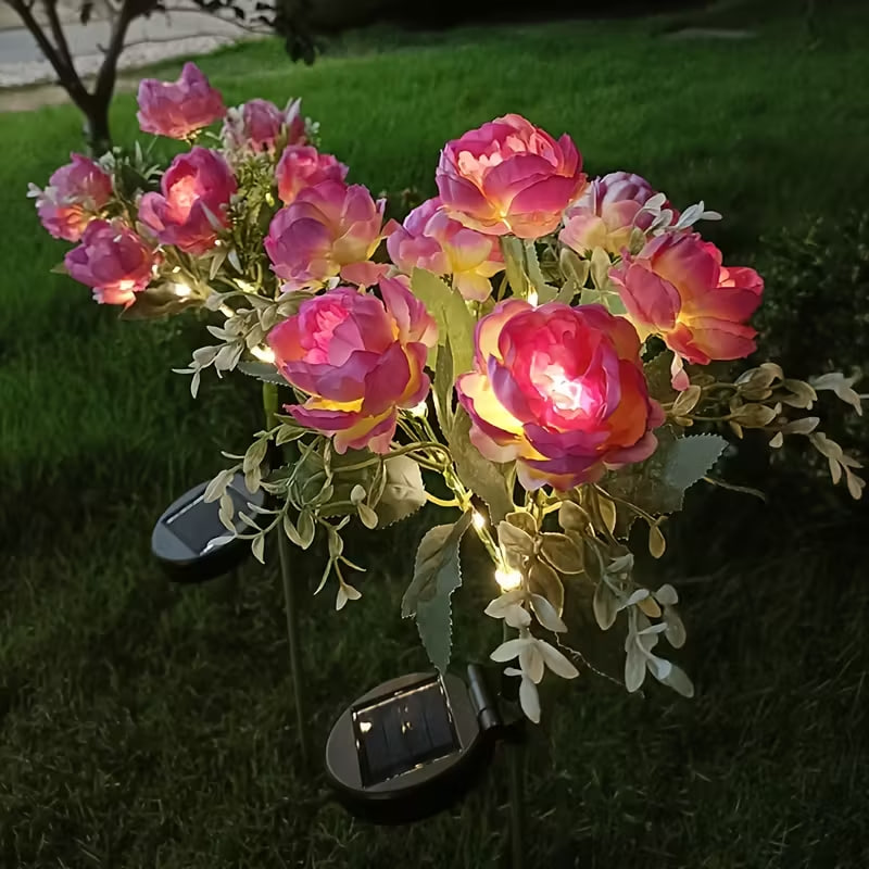 Фото 3