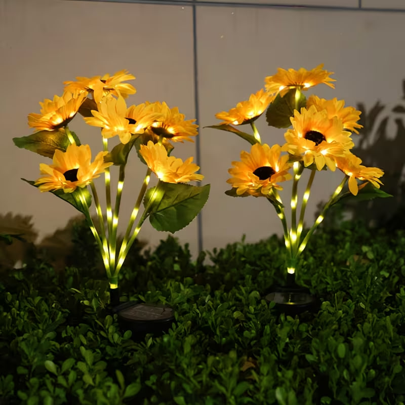 Фото 3