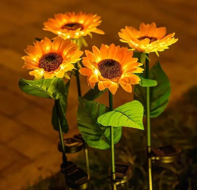 Фото 3