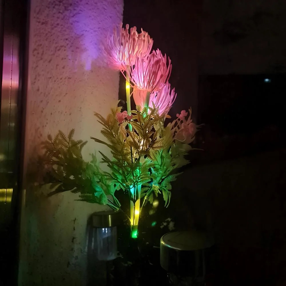 Фото 3