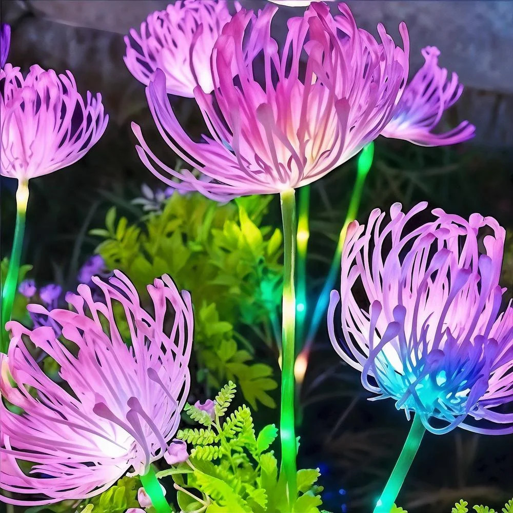 Фото 6