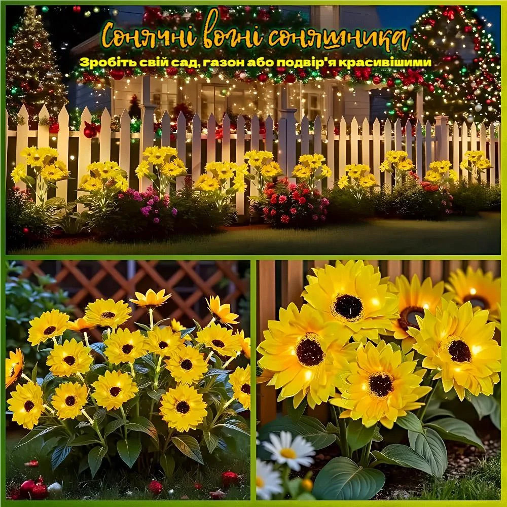 Фото 6