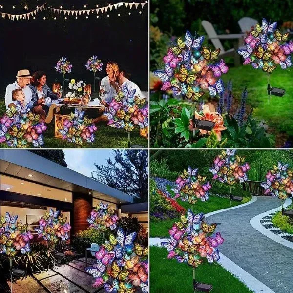 Фото 3