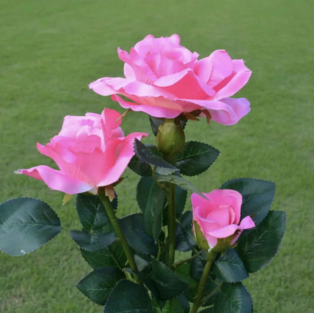 Фото 4