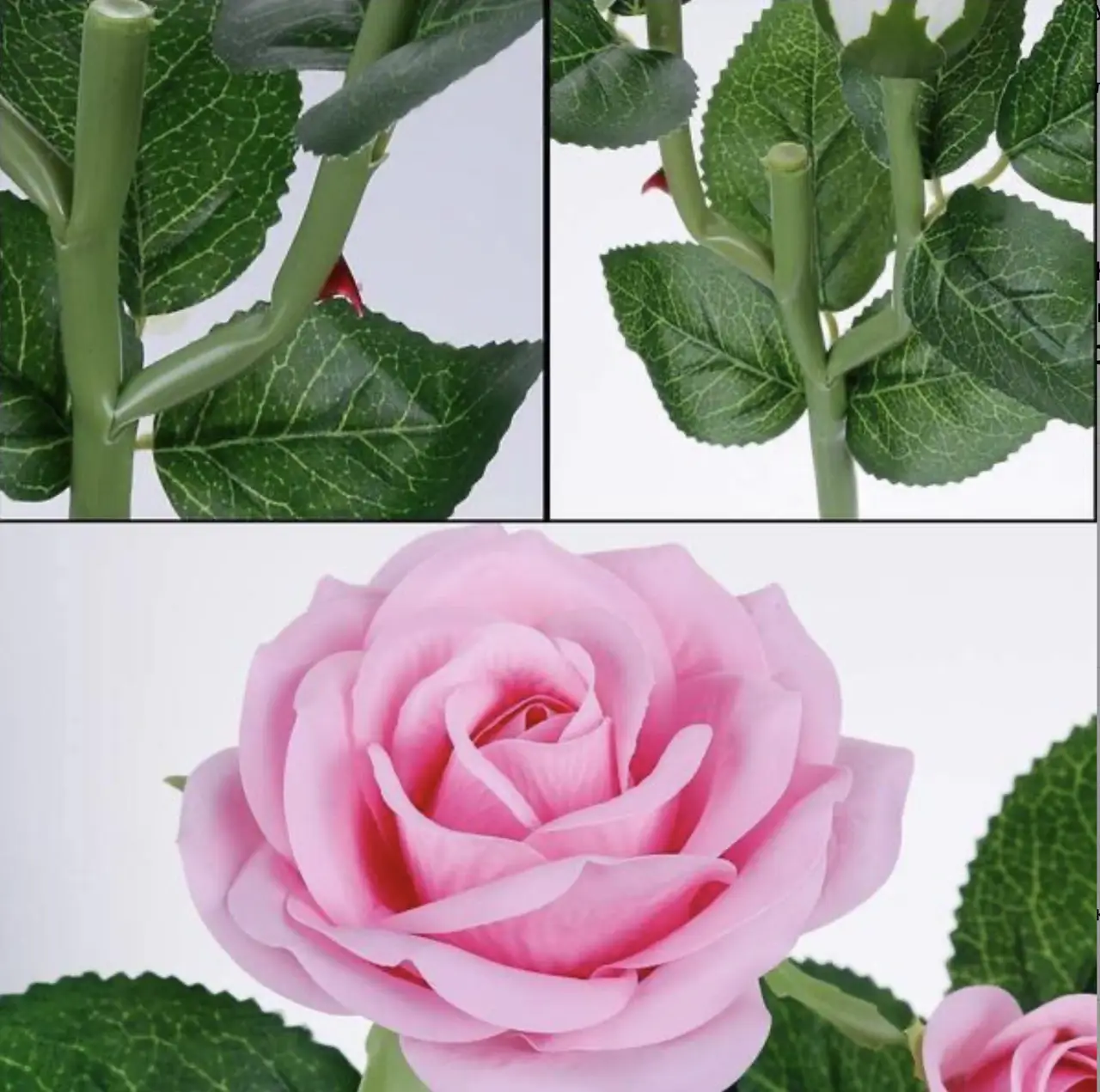 Фото 7