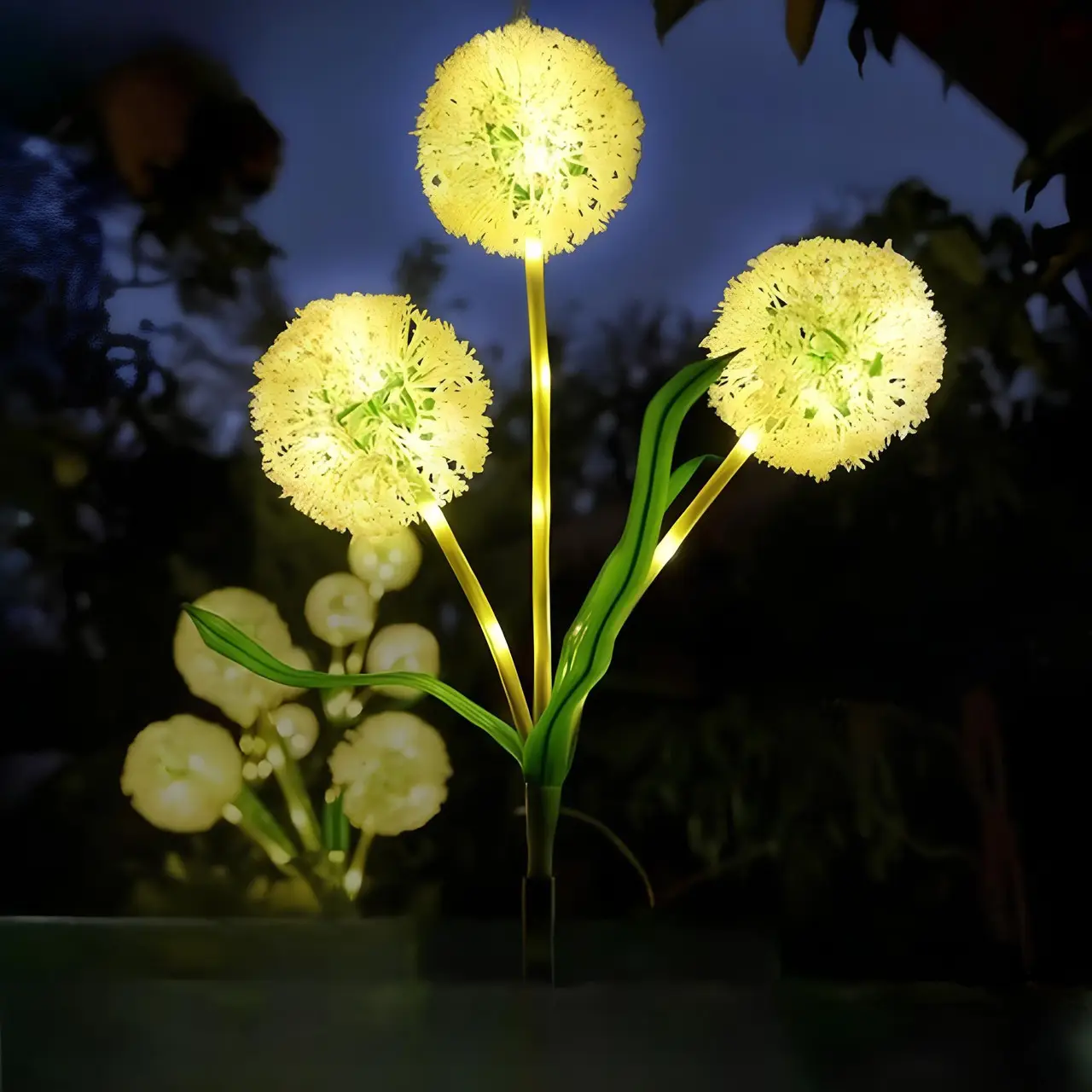 Фото 4