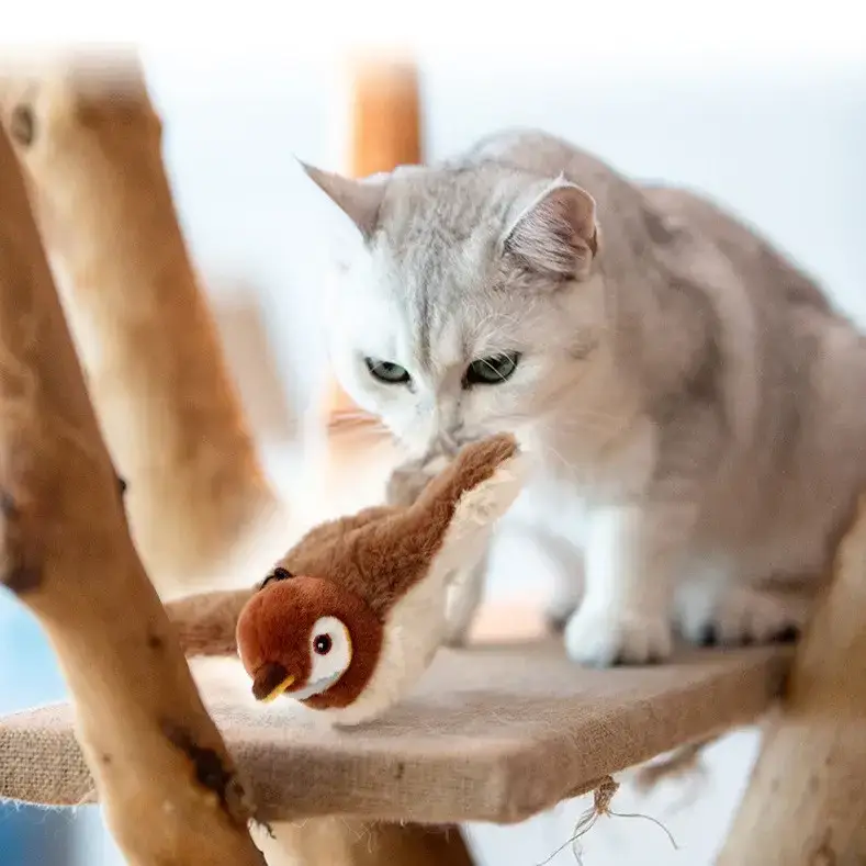 Фото 5