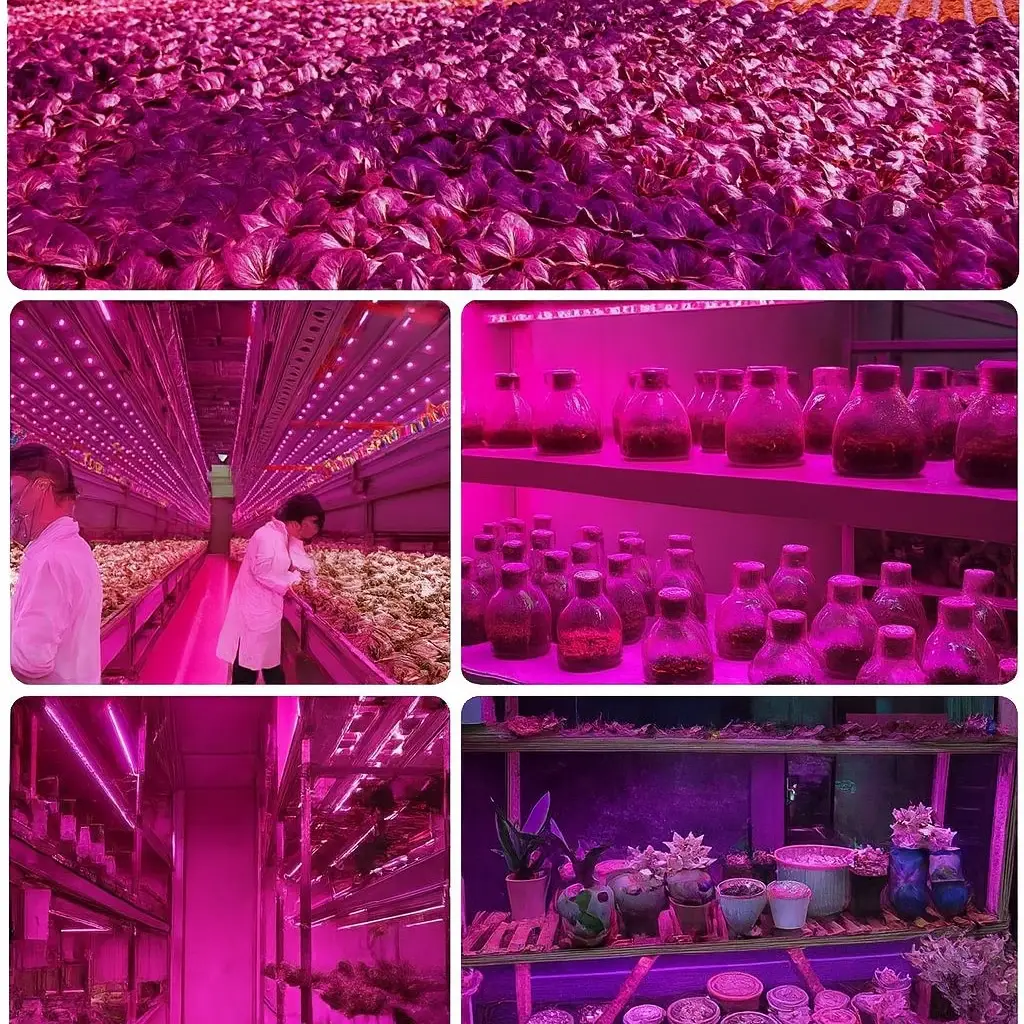 Фото 4