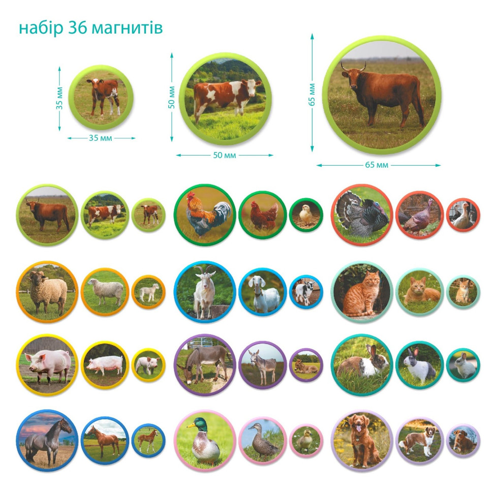 Фото 4