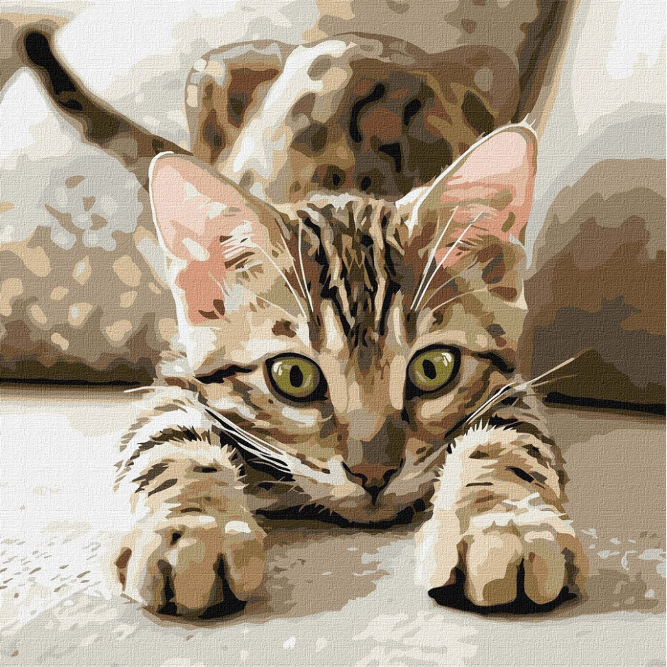 УЦІНКА! Картина за номерами "Грайливе кошеня" ©art_selena_ua Ідейка KHO6877-UC, 40х40 см