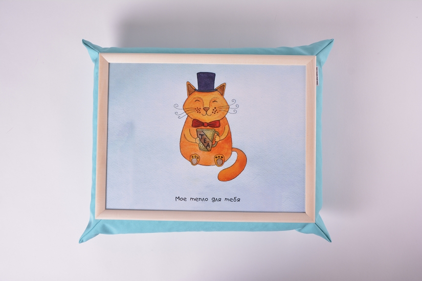 Поднос на подушке Mr. Cat