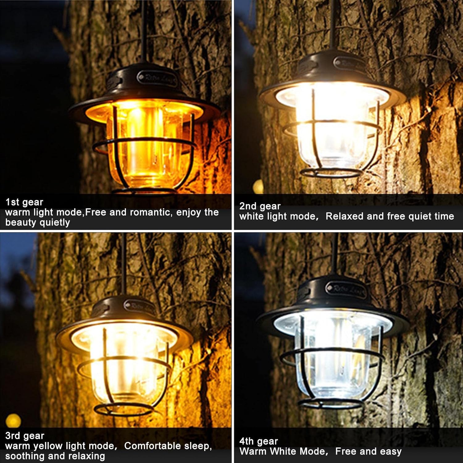 Фото 3
