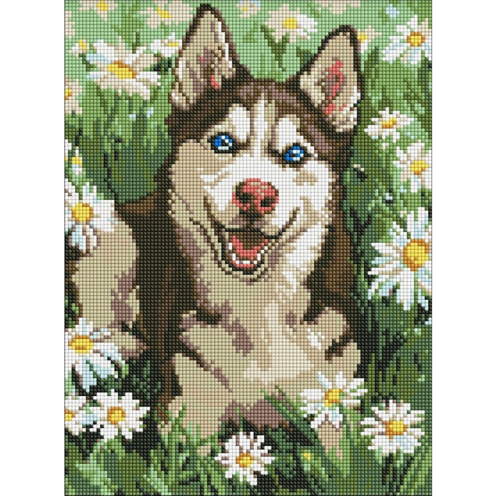 Алмазна мозаїка "Хаскі у квіточках" ©art_selena_ua AMO20472, 30х40 см